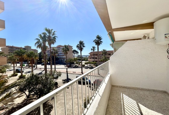 Apartment Flat - Sale - Guardamar del Segura - Costa Blanca