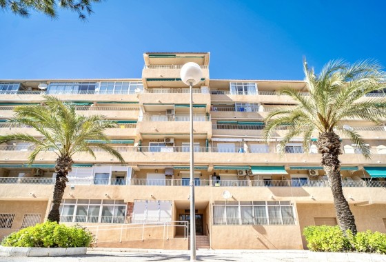 Apartment Flat - Sale - Guardamar del Segura - Costa Blanca