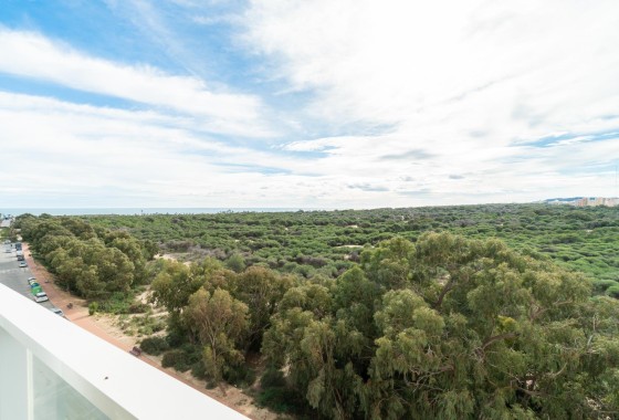 Apartment Flat - Sale - Guardamar del Segura - Puerto Deportivo