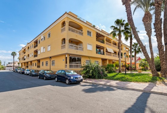Apartment Flat - Sale - Jacarilla - Jacarilla