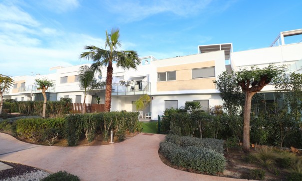Apartment Flat - Sale - Los Montesinos - Entre Naranjos / Vistabella Golf