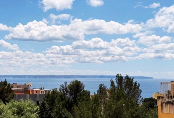 Apartment Flat - Sale - Palma - Sant Agustí