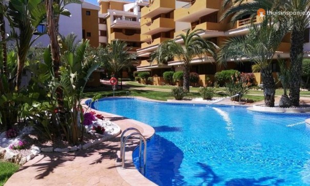 Apartment Flat - Sale - Punta Prima - La Entrada