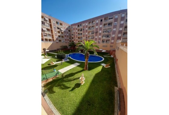 Apartment Flat - Sale -
        Torrevieja - C6R-88640