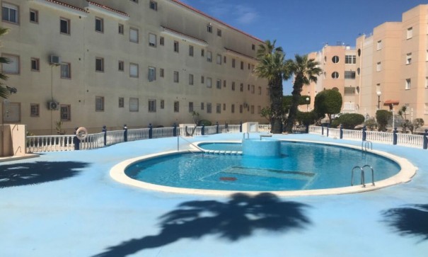 Apartment Flat - Sale - Torrevieja - Torrevieja