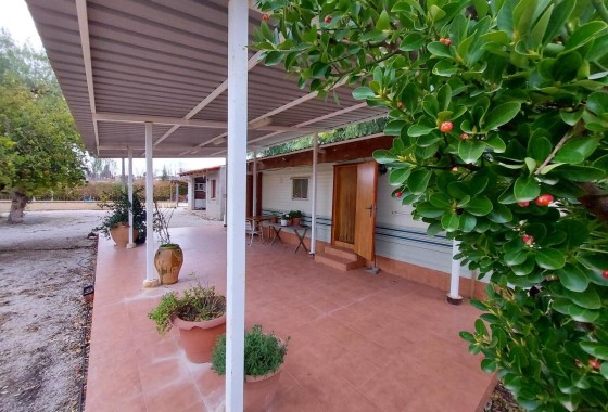 Appartement / Flat - Herverkoop - Calasparra -
                Calasparra