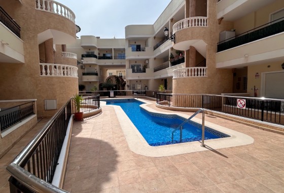 Appartement / Flat - Herverkoop - Jacarilla -
                Jacarilla