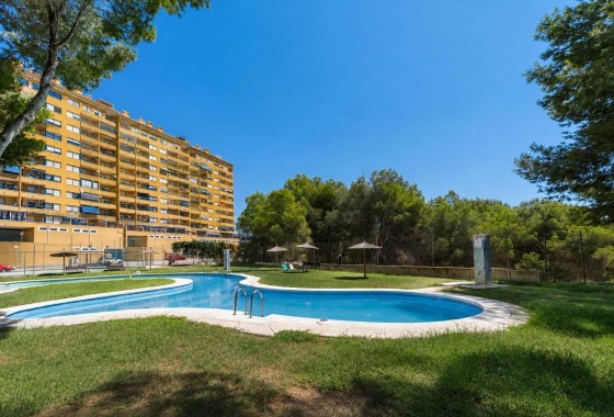 Appartement / Flat - Herverkoop - Orihuela Costa -
                Altos de Campoamor
