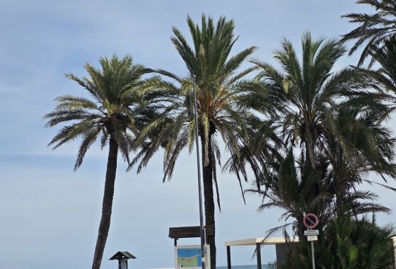 Appartement / Flat - Herverkoop - Orihuela Costa -
                Altos de Campoamor