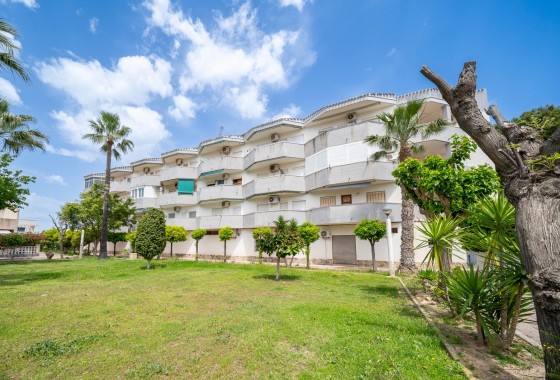 Appartement / Flat - Herverkoop - Orihuela Costa - Cabo Roig
