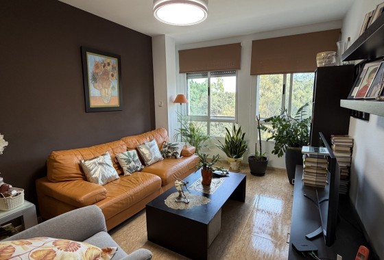 Appartement / Flat - Herverkoop - Pilar de la Horadada -
                Pilar de la Horadada