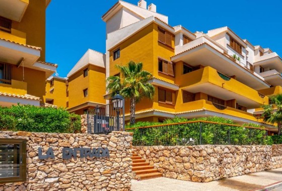 Appartement / Flat - Herverkoop - Punta Prima - Punta Prima