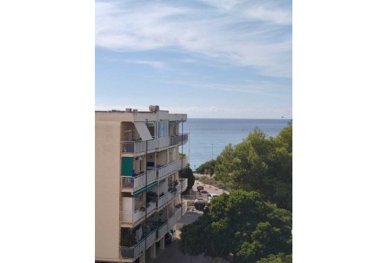 Appartement / Flat - Herverkoop - Punta Prima -
                Punta Prima