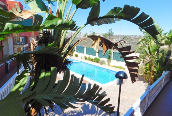Appartement / Flat - Herverkoop - Torremendo -
                Torremendo
