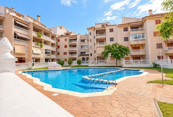 Appartement / Flat - Herverkoop - Torrevieja -
                Playa de los Locos