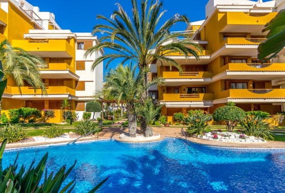 Appartement / Flat - Herverkoop - Torrevieja -
                Punta Prima