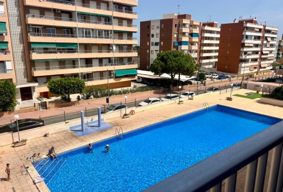 Appartement / Flat - Herverkoop - Torrevieja -
                Punta Prima