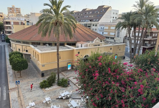 Appartement / Flat - LANGDURIGE VERHUUR - Orihuela -
                TEATRO CIRCO