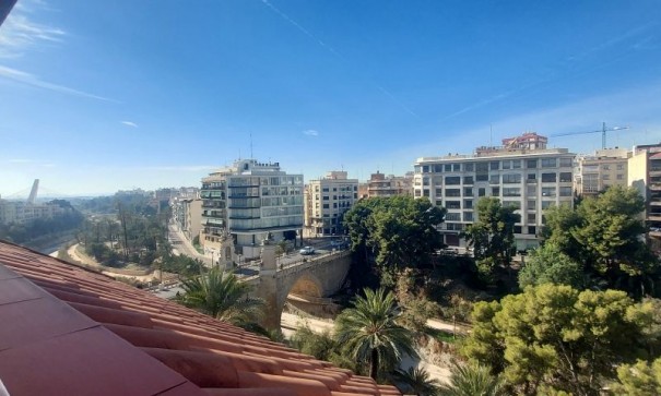 Appartement / flat - Location longue durée - Elche - Elche