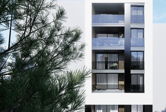 Appartement / Flat - NIEUWBOUW - Guardamar del Segura -
                Guardamar del Segura