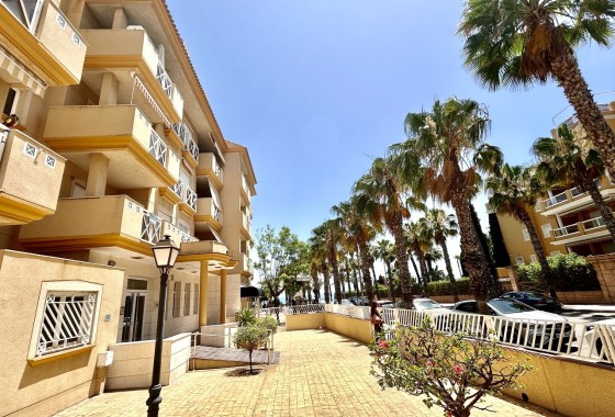 Appartement - Revente - Cabo Roig -
                Cabo Roig