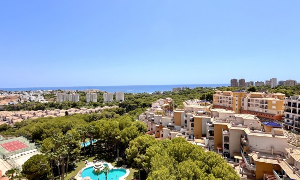 Appartement - Revente - Dehesa de Campoamor - Dehesa de campoamor