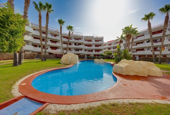 Appartement - Revente - Orihuela Costa -
                Playa Flamenca