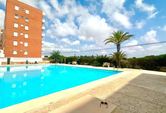 Appartement - Revente -
        Torrevieja - C8L-41390