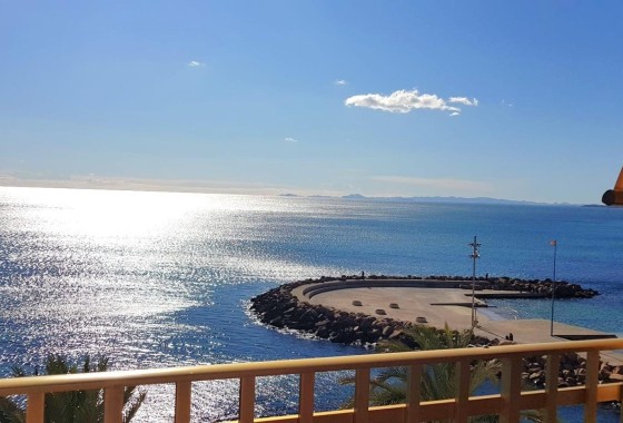 Appartement - Revente - Torrevieja - Estacion de autobuses