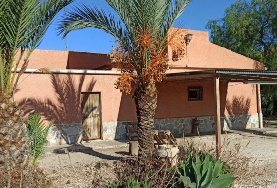 Appartement - Revente - Torrevieja -
                Torrevieja