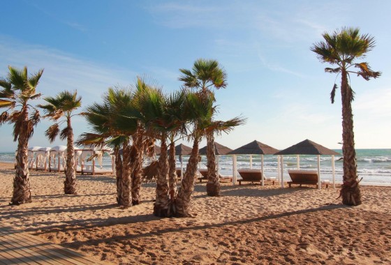 Appartement - Revente - Torrevieja -
                torrevieja