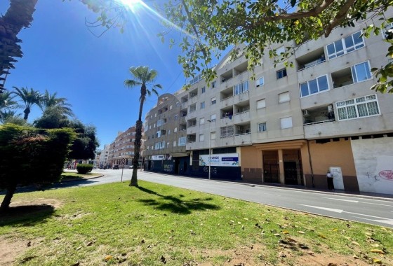 Appartement - Revente - Torrevieja - Torrevieja