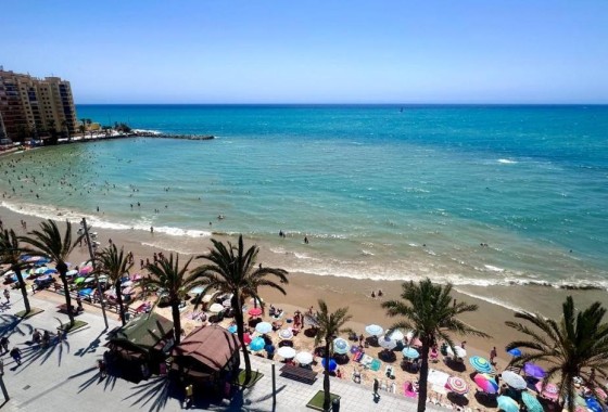 Appartement - Revente - Torrevieja -
                Torrevieja