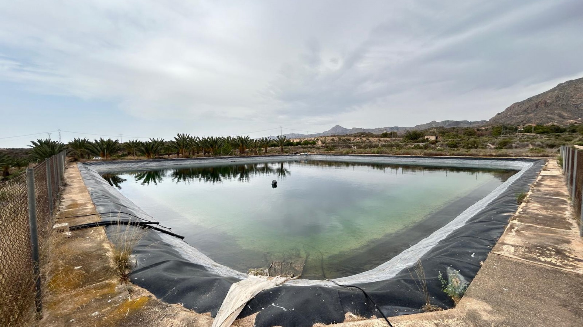 Återförsäljning - Finca lantlig egendom -
Albatera