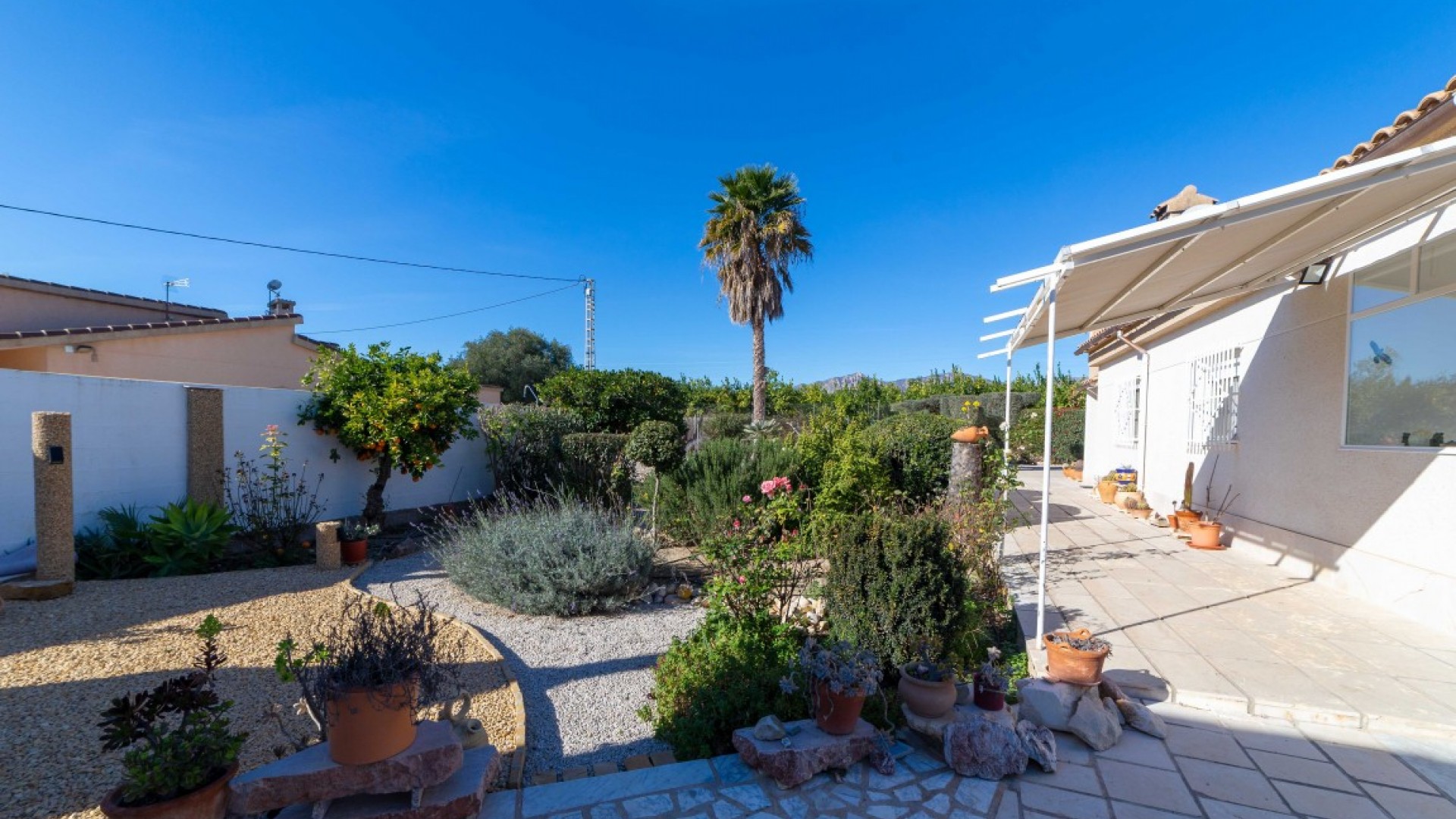 Återförsäljning - Finca lantlig egendom -
Albatera