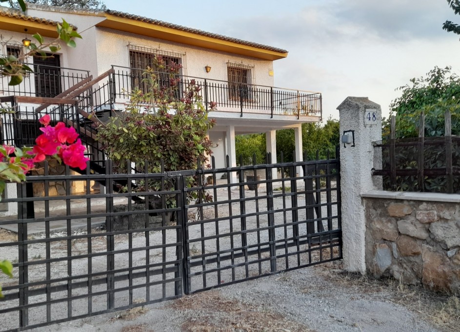 Återförsäljning - Finca lantlig egendom -
Benejúzar