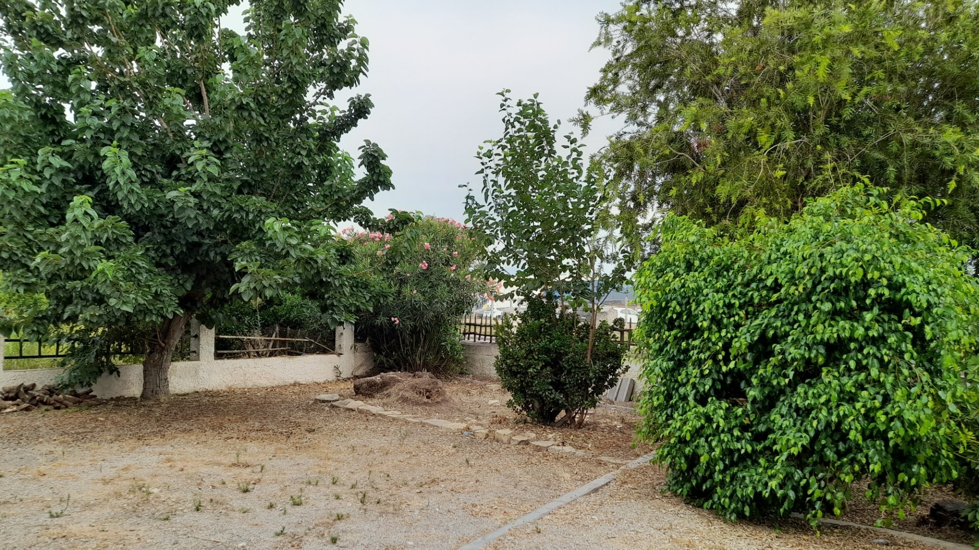 Återförsäljning - Finca lantlig egendom -
Benejúzar