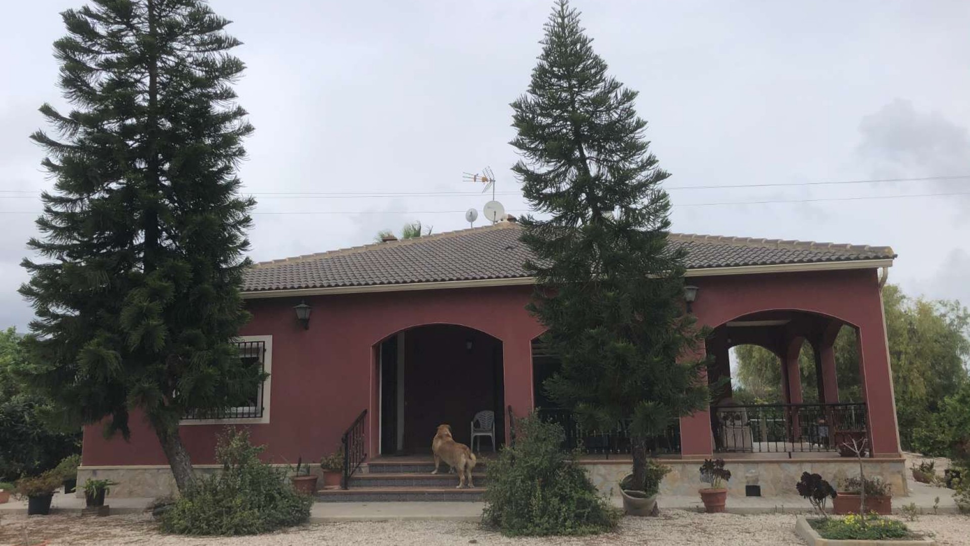 Återförsäljning - Finca lantlig egendom -
Callosa de Segura