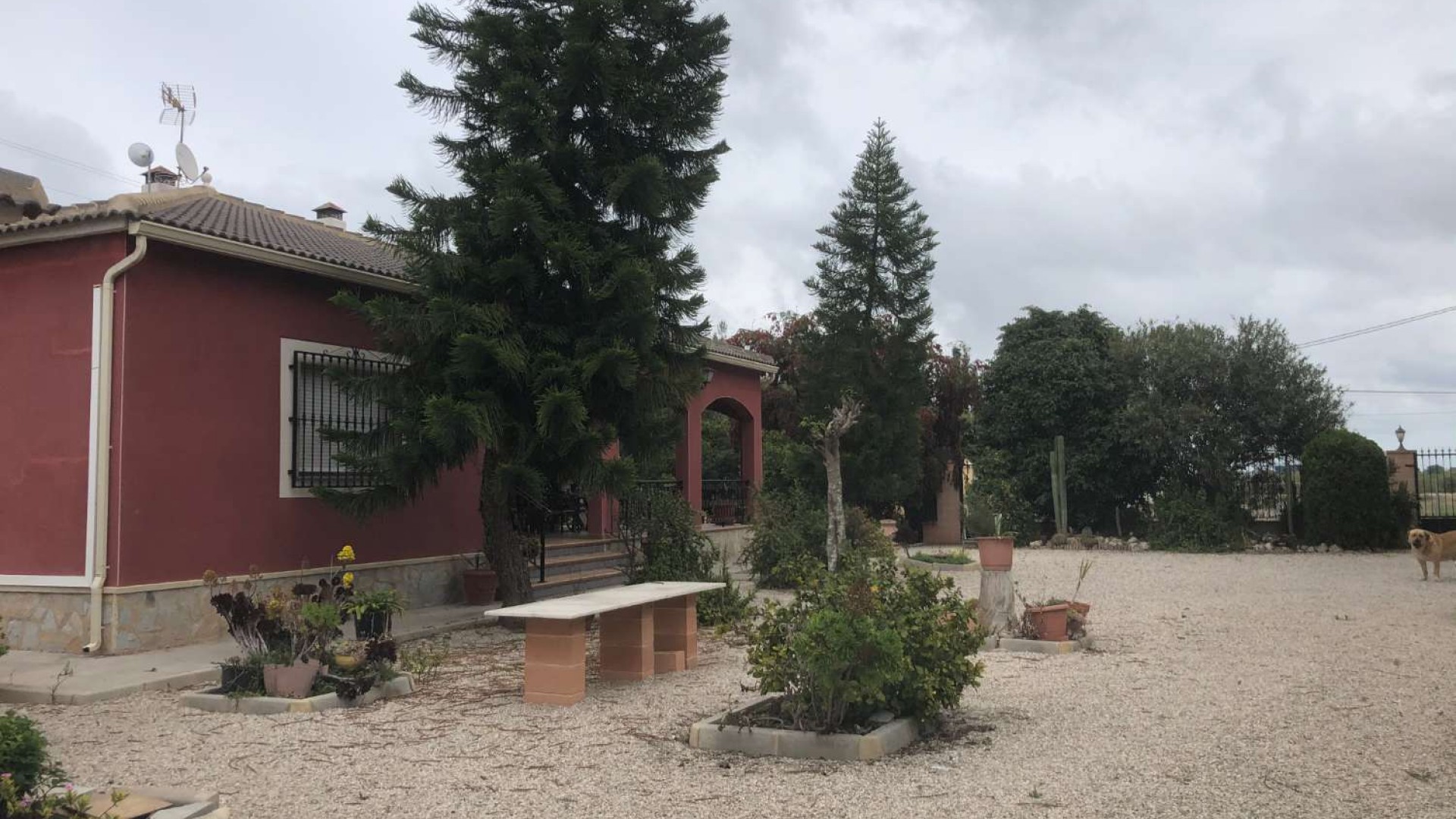 Återförsäljning - Finca lantlig egendom -
Callosa de Segura