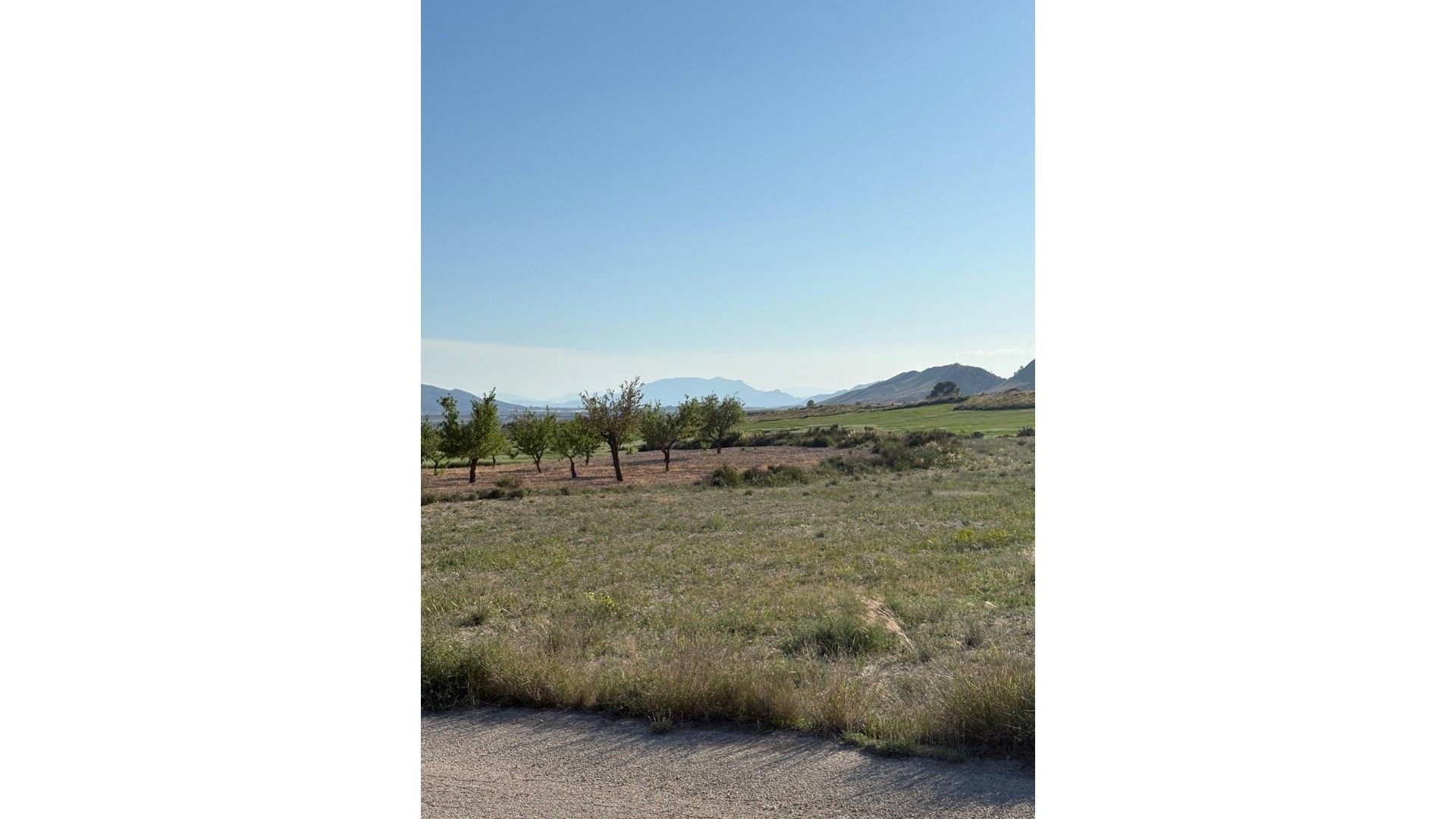 Återförsäljning - Finca lantlig egendom -
Cañada del Trigo - Canada del Trigo Murcia