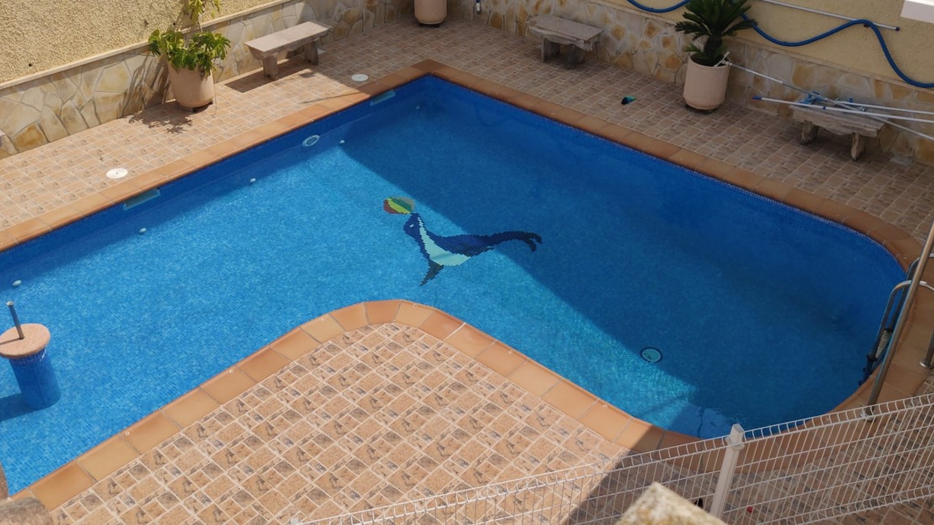 Återförsäljning - Finca lantlig egendom -
Cañadas de San Pedro - CAÃADA DE SAN PEDRO