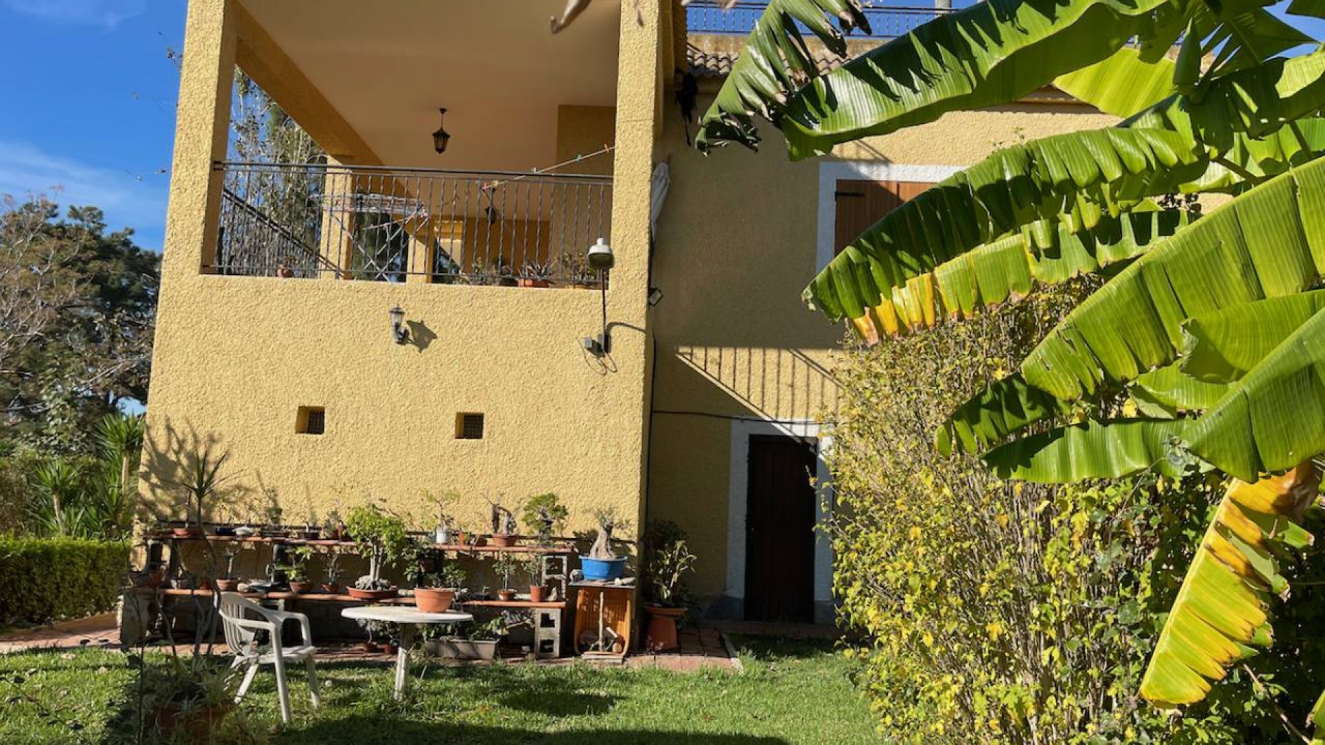 Återförsäljning - Finca lantlig egendom -
Daya Nueva