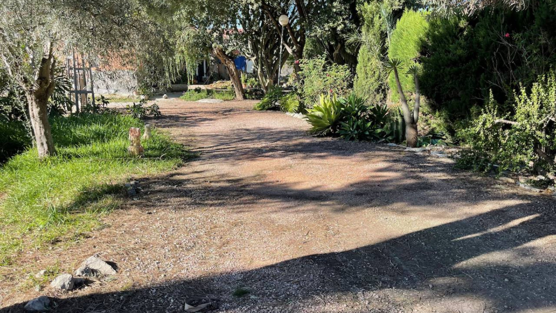 Återförsäljning - Finca lantlig egendom -
Daya Nueva