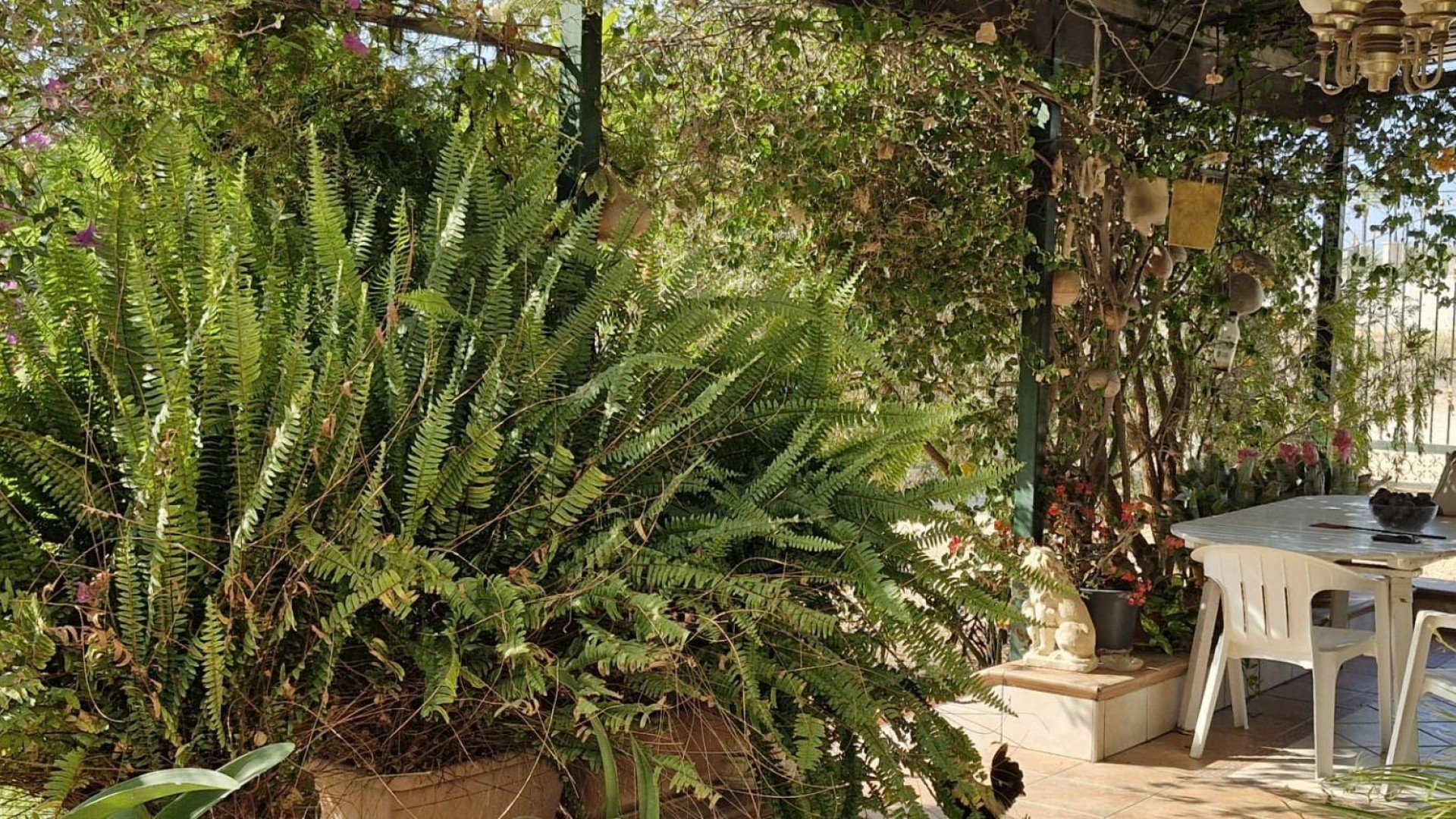 Återförsäljning - Finca lantlig egendom -
Elche