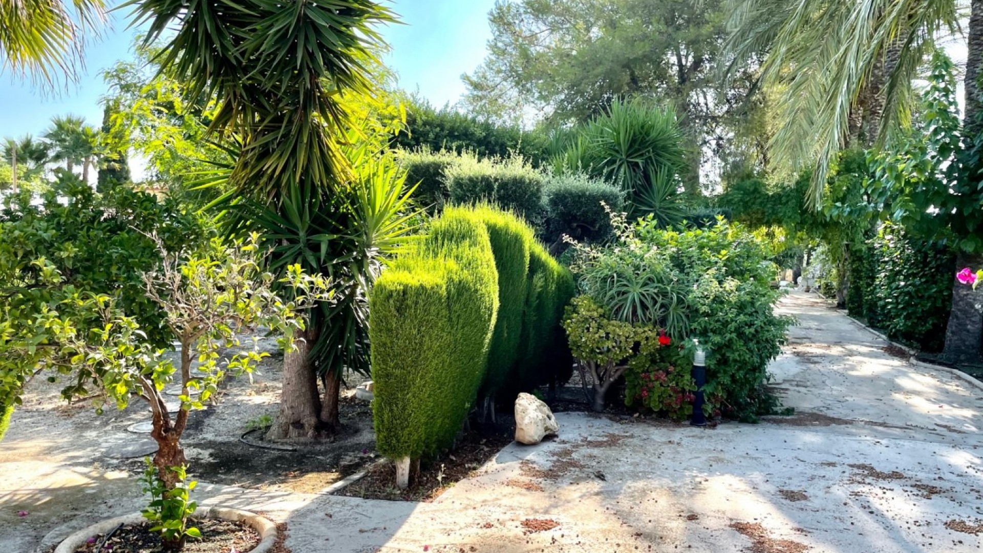 Återförsäljning - Finca lantlig egendom -
Elche