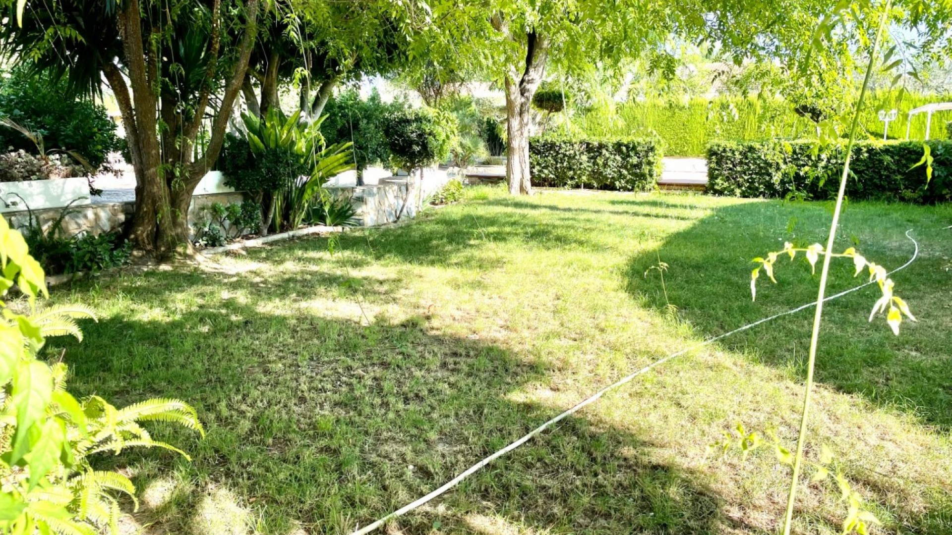 Återförsäljning - Finca lantlig egendom -
Elche