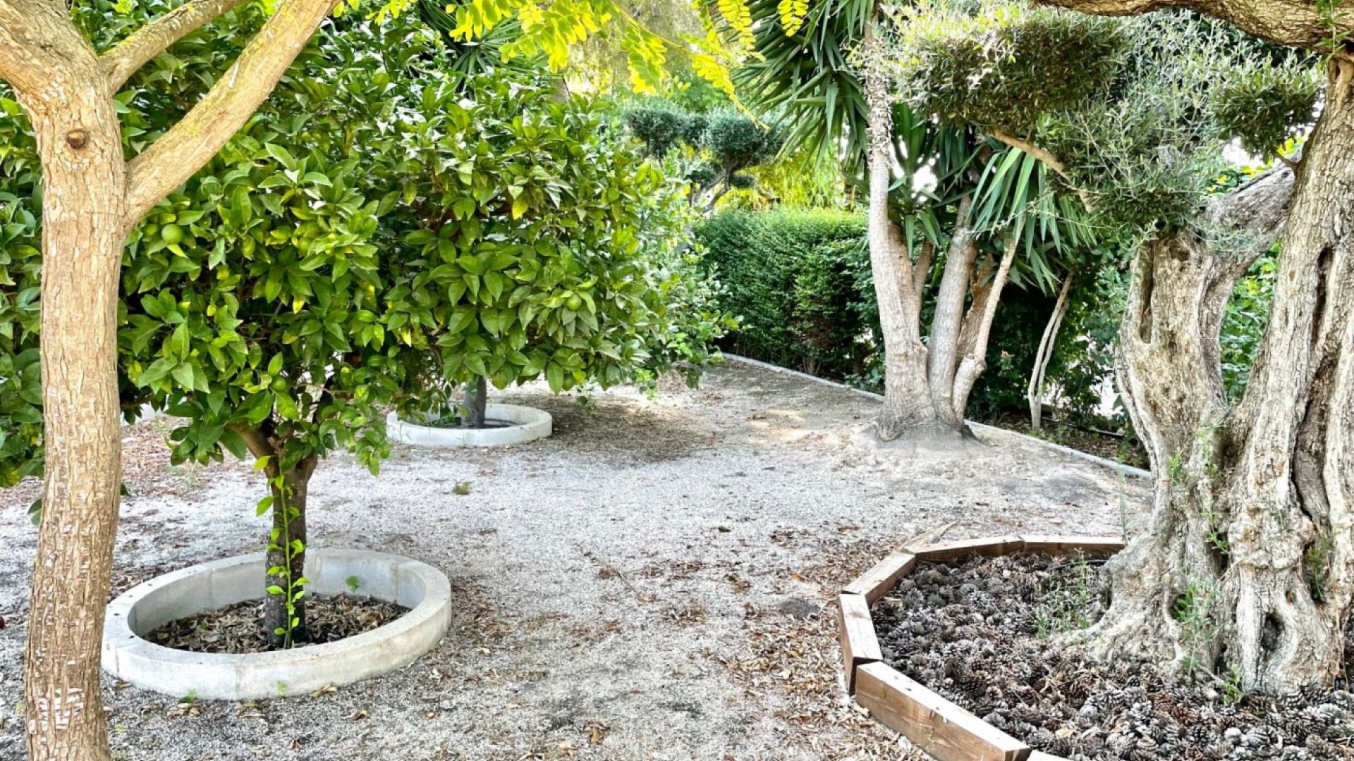 Återförsäljning - Finca lantlig egendom -
Elche