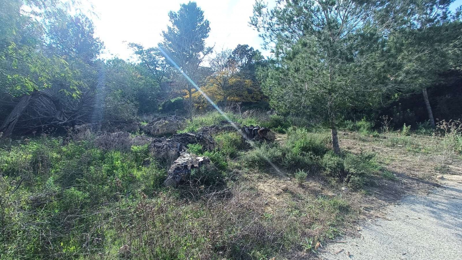 Återförsäljning - Finca lantlig egendom -
Gea y Truyols