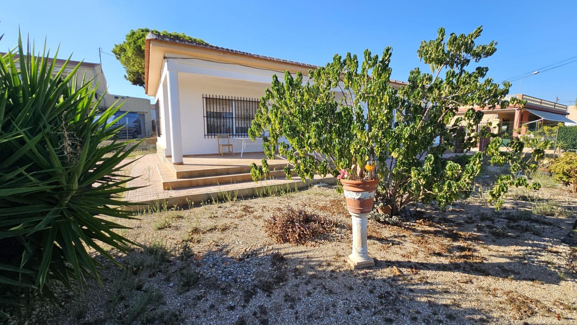 Återförsäljning - Finca lantlig egendom -
Guardamar del Segura - Buenavista