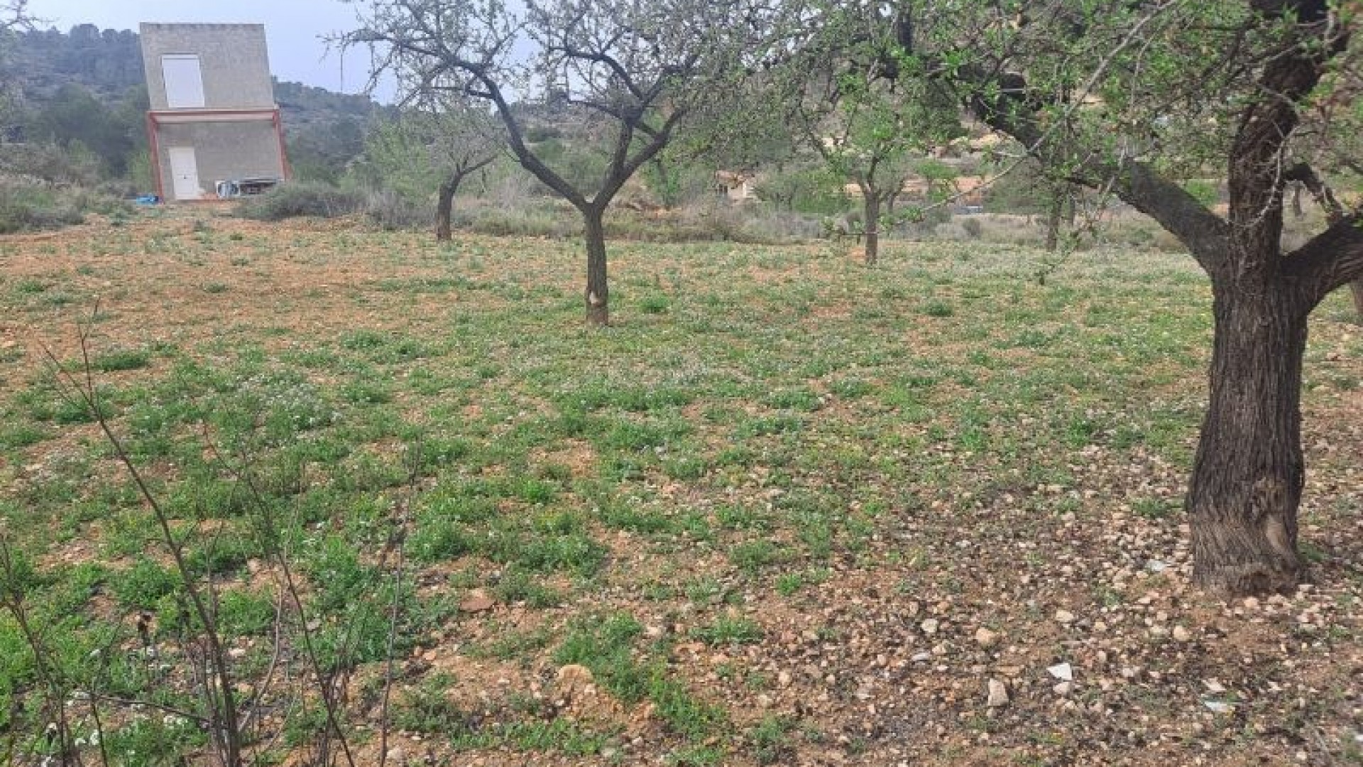 Återförsäljning - Finca lantlig egendom -
Hondón de las Nieves